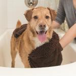 8X Absorbent Dog Drying Towel