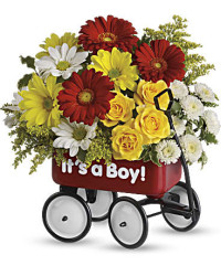 Baby's Wow Wagon | Mixed Bouquets | Same Day Flower Delivery | Multi-Colored | Teleflora