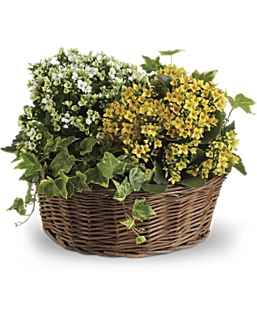 Basket Of Joy | Mixed Bouquets | Same Day Flower Delivery | Yellow | Teleflora