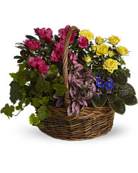 Blooming Garden Basket | Roses | Same Day Flower Delivery | Multi-Colored | Teleflora