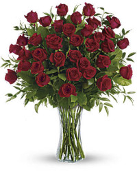 Breathtaking Beauty | Roses | Same Day Flower Delivery | Red | Teleflora