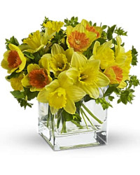 Daffodil Dreams | Mixed Bouquets | Same Day Flower Delivery | Yellow | Teleflora