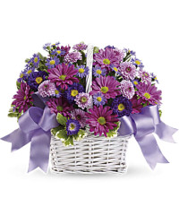 Daisy Daydreams Bouquet | Mixed Bouquets | Same Day Flower Delivery | Multi-Colored | Teleflora