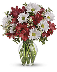 Dancing In Daisies Bouquet | Mixed Bouquets | Same Day Flower Delivery | White | Teleflora