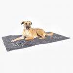 Floor Protecting Pet Doormat