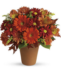 Golden Glow | Mixed Bouquets | Same Day Flower Delivery | Orange | Teleflora