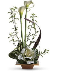 Grand Gesture | Calla Lilies | Same Day Flower Delivery | White | Teleflora