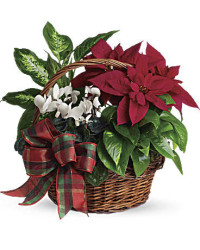 Holiday Homecoming Basket | Mixed Bouquets | Same Day Flower Delivery | White | Teleflora