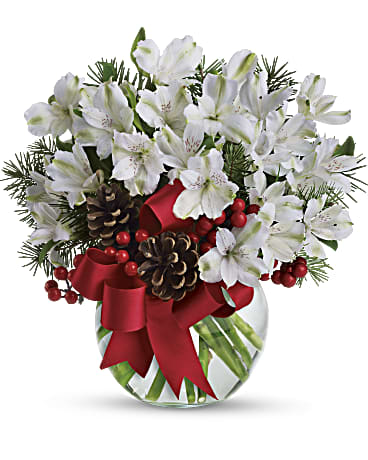 Let It Snow | Alstroemeria | Same Day Flower Delivery | White | Teleflora