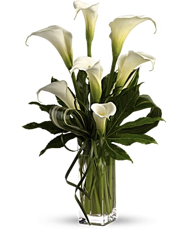 My Fair Lady | Calla Lilies | Same Day Flower Delivery | White | Teleflora