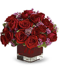 Never Let Go | Roses | Same Day Flower Delivery | Red | Teleflora