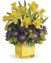 Playful Springtime Daffodil Bouquet | Asters | Same Day Flower Delivery | Multi-Colored | Teleflora