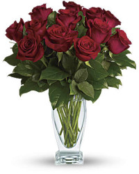 Rose Classique | Roses | Same Day Flower Delivery | Red | Teleflora