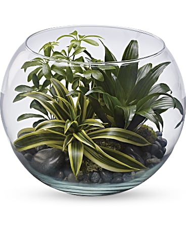 Sphere Of Tranquility Terrarium | Mixed Bouquets | Same Day Flower Delivery | Green | Teleflora