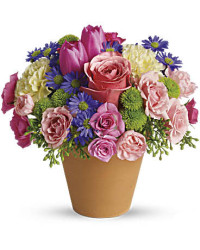 Spring Sonata Bouquet | Mixed Bouquets | Same Day Flower Delivery | Multi-Colored | Teleflora