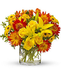 Summer Samba | Mixed Bouquets | Same Day Flower Delivery | Yellow | Teleflora