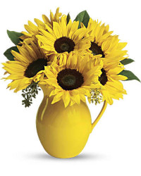 Sunny Day Pitcher Of Sunflowers Bouquet | Mixed Bouquets | Same Day Flower Delivery | Multi-Colored | Teleflora