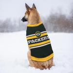 Tailgating Dog's NFL Sweater