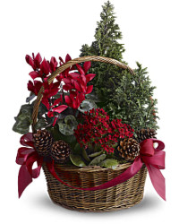 Tannenbaum Basket | Mixed Bouquets | Same Day Flower Delivery | Red | Teleflora