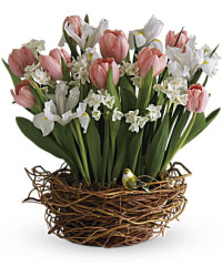 Tulip Song | Mixed Bouquets | Same Day Flower Delivery | Multi-Colored | Teleflora