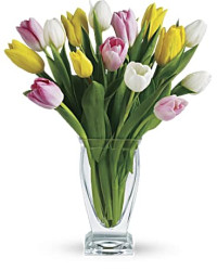 Tulip Treasure | Tulips | Same Day Flower Delivery | Multi-Colored | Teleflora