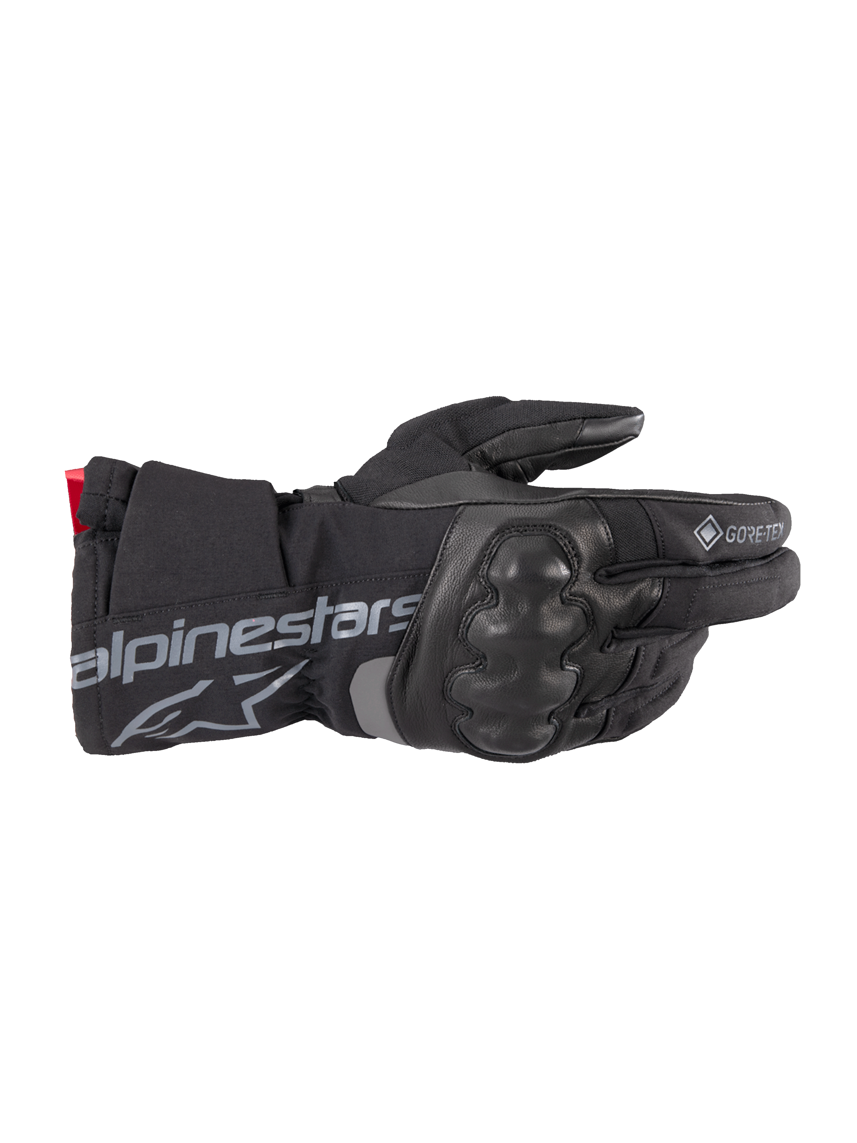 Wt-4 Gore-Tex Insulated Glove