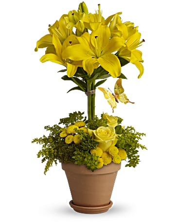 Yellow Fellow | Mixed Bouquets | Same Day Flower Delivery | Teleflora