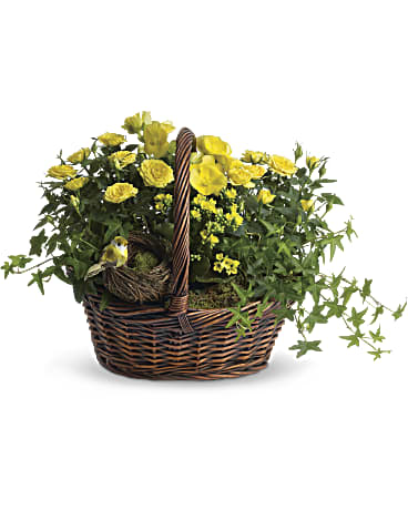 Yellow Trio Basket | Roses | Same Day Flower Delivery | Teleflora