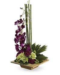 Zen Artistry Bouquet | Mixed Bouquets | Same Day Flower Delivery | Multi-Colored | Teleflora